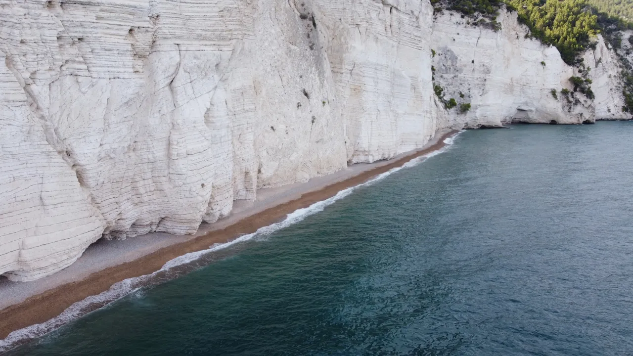 DJI_0321.jpeg