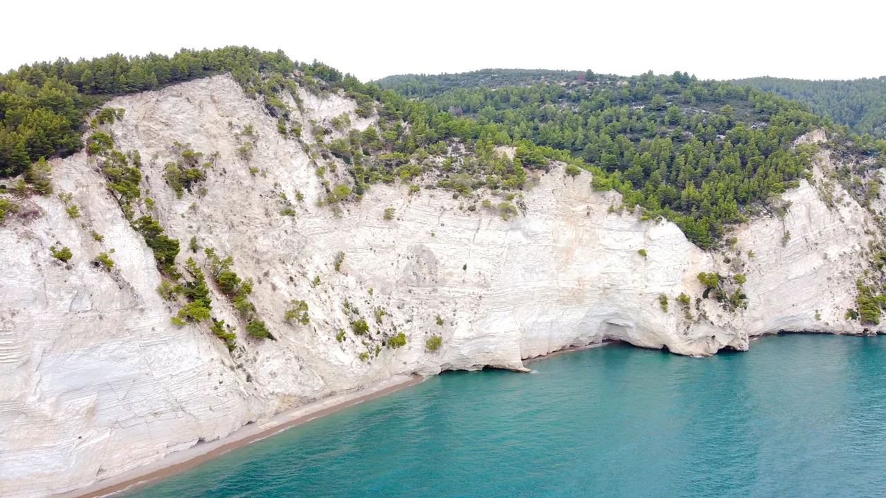 DJI_0254.jpeg