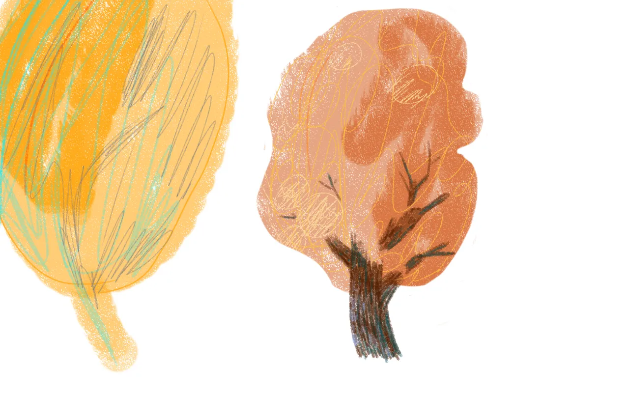 sketch1694163092831.png