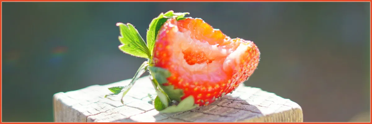 strawb.jpg