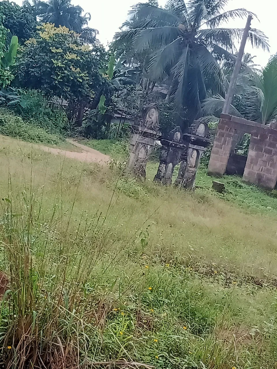 IMG20211127113626.jpg