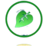 earth.png