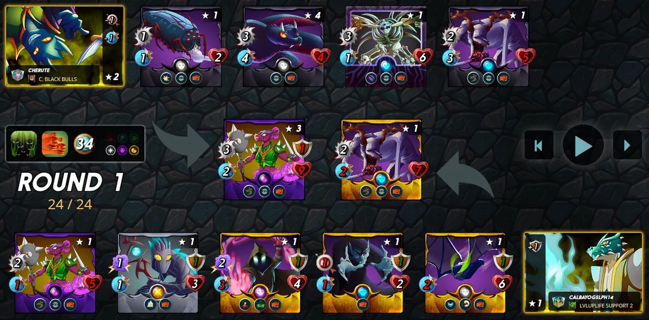 round_1.JPG