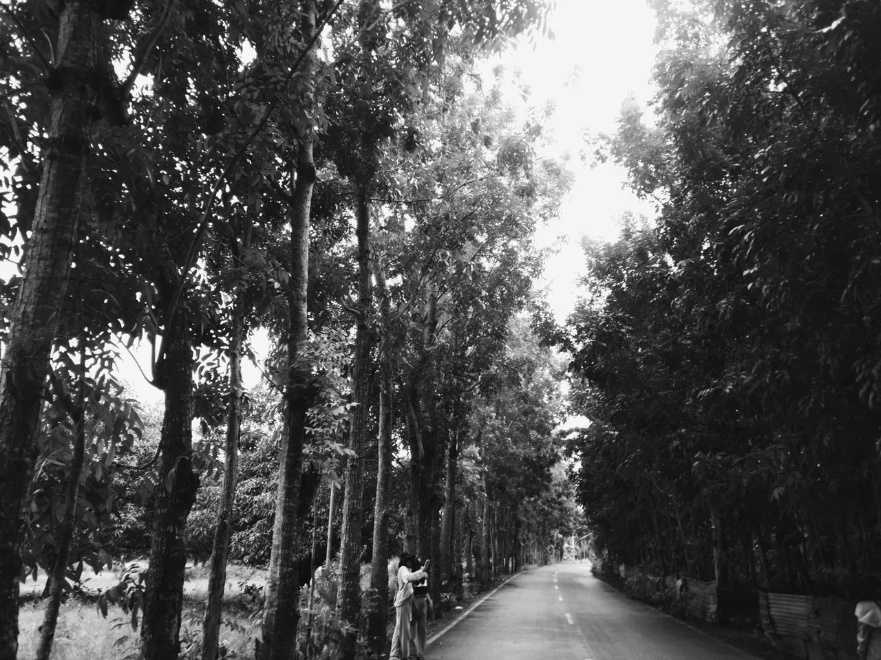 IMG_20240304_143131.jpeg