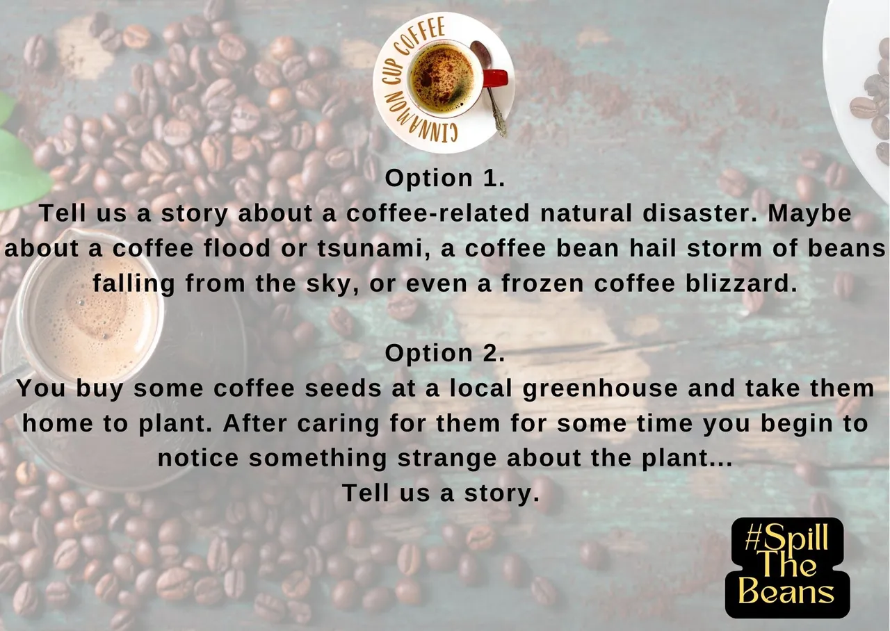 #SpillTheBeans-59.jpg