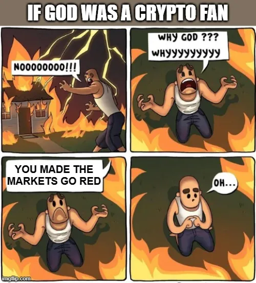 Elon FUD.jpg