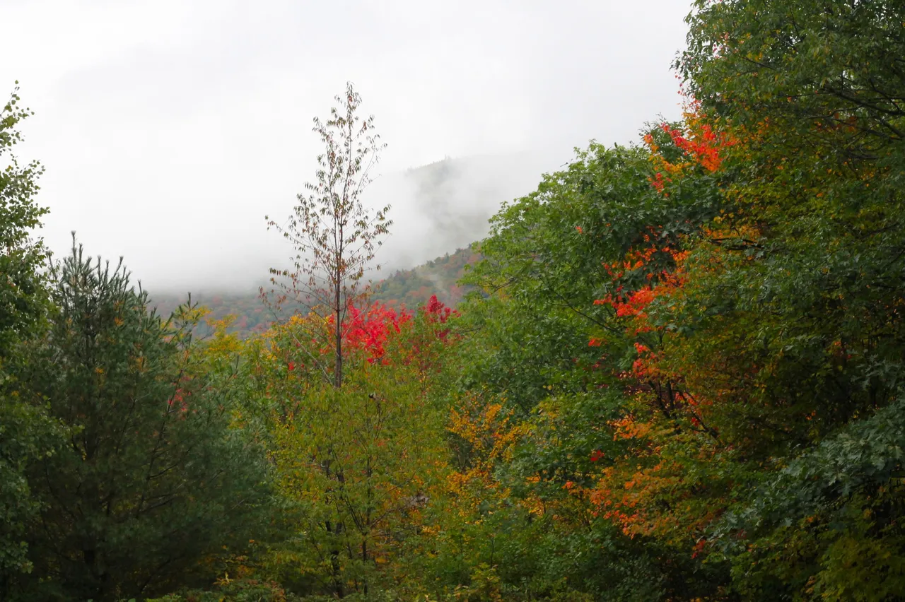 IMG_6835.JPG