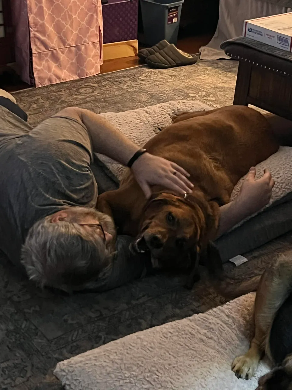 me and bailey.jpg