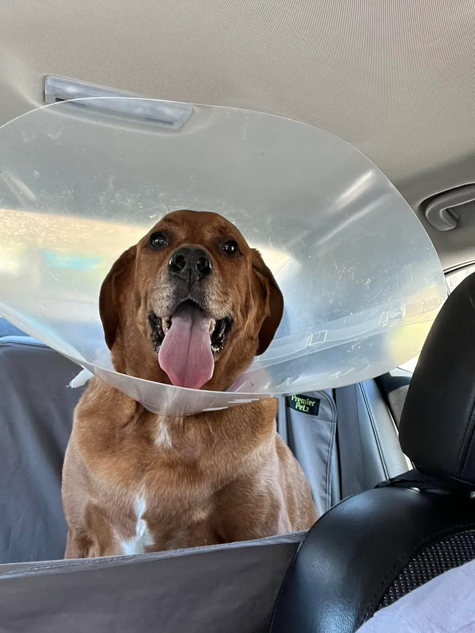 bailey-cone.jpg