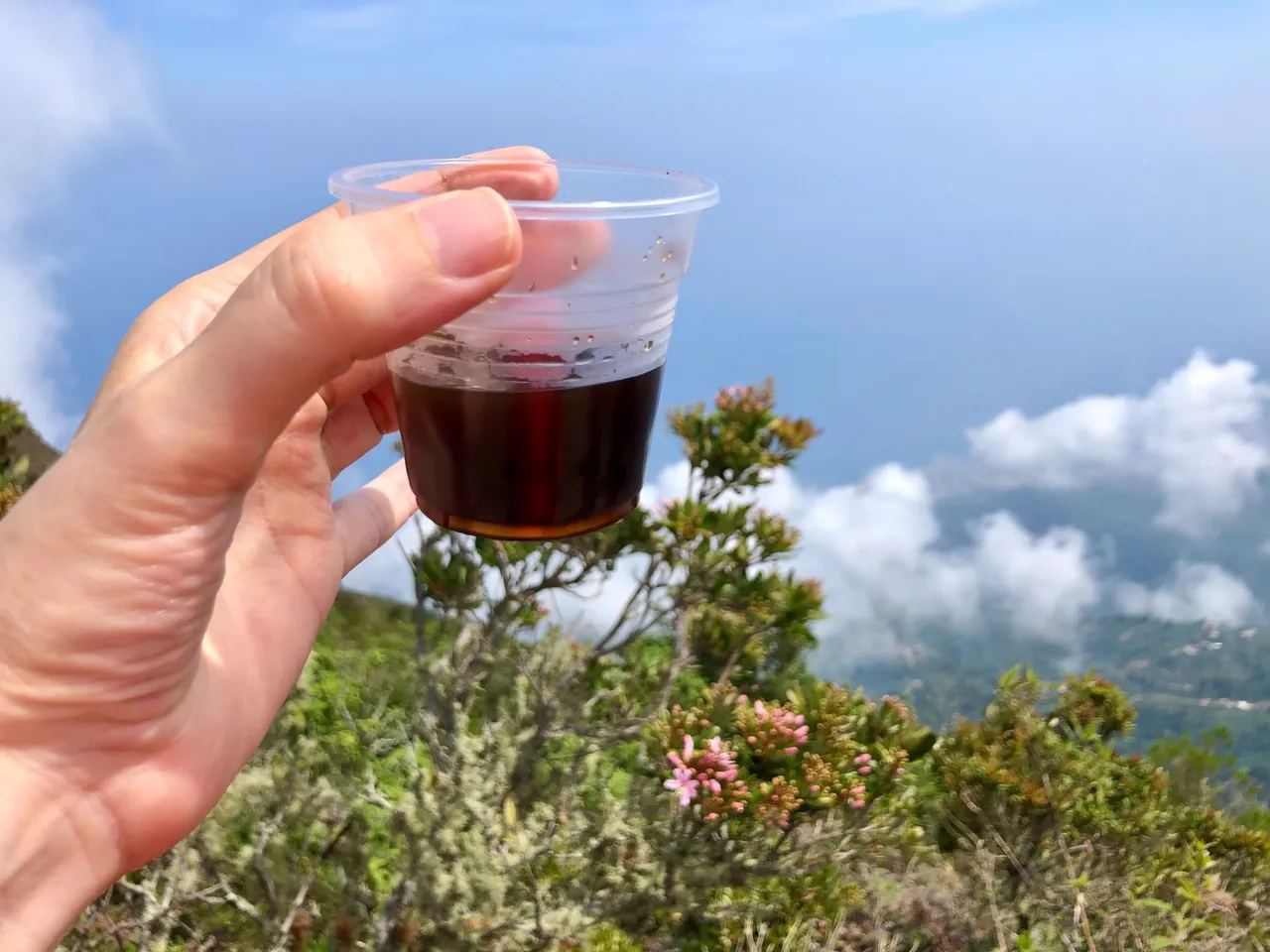 CafeEnPicacho_1.jpg