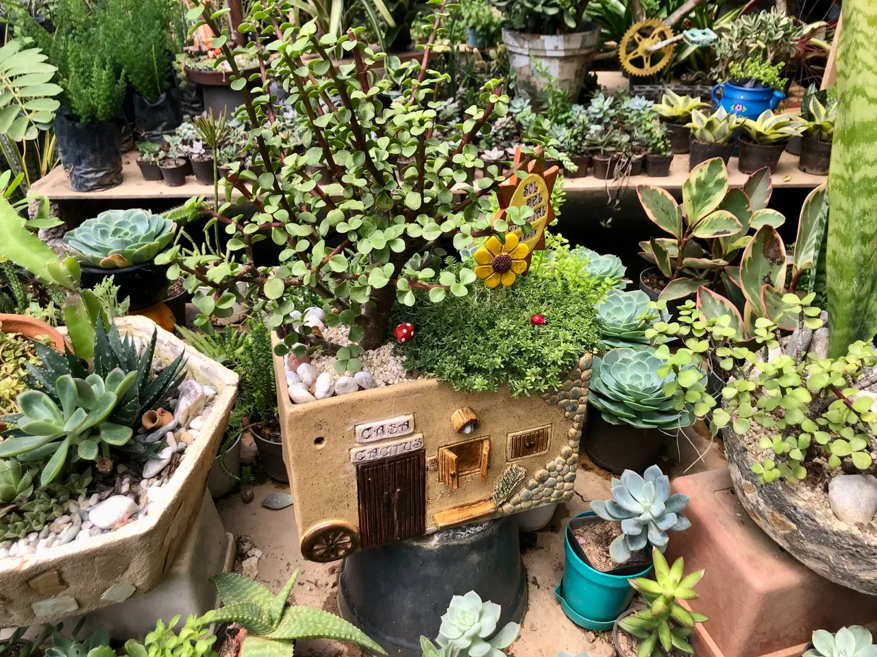 Vivero_10.jpg