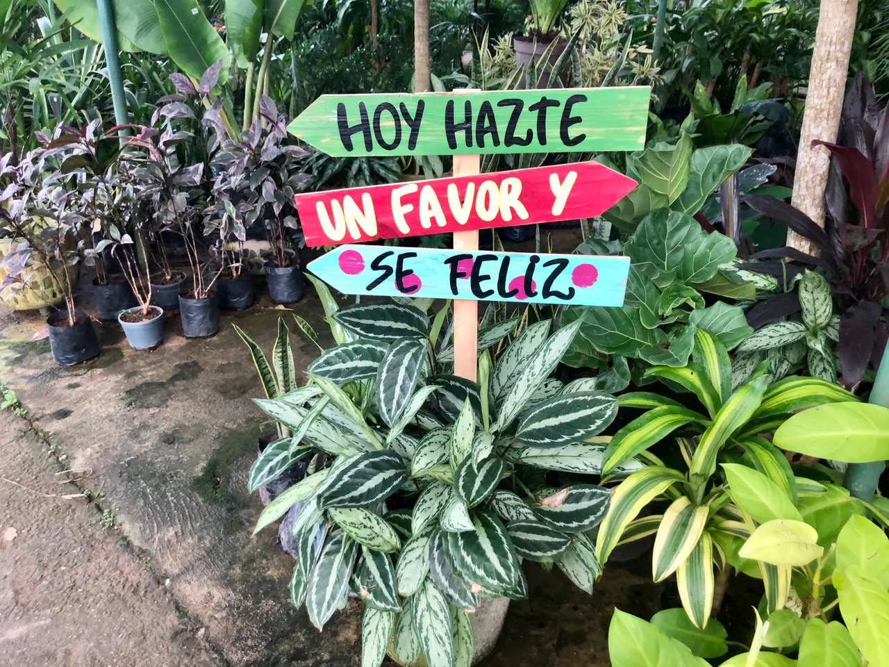 Vivero_1.jpg