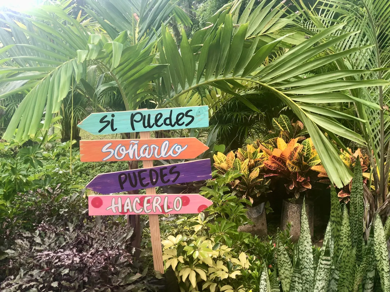 Vivero_2.jpg
