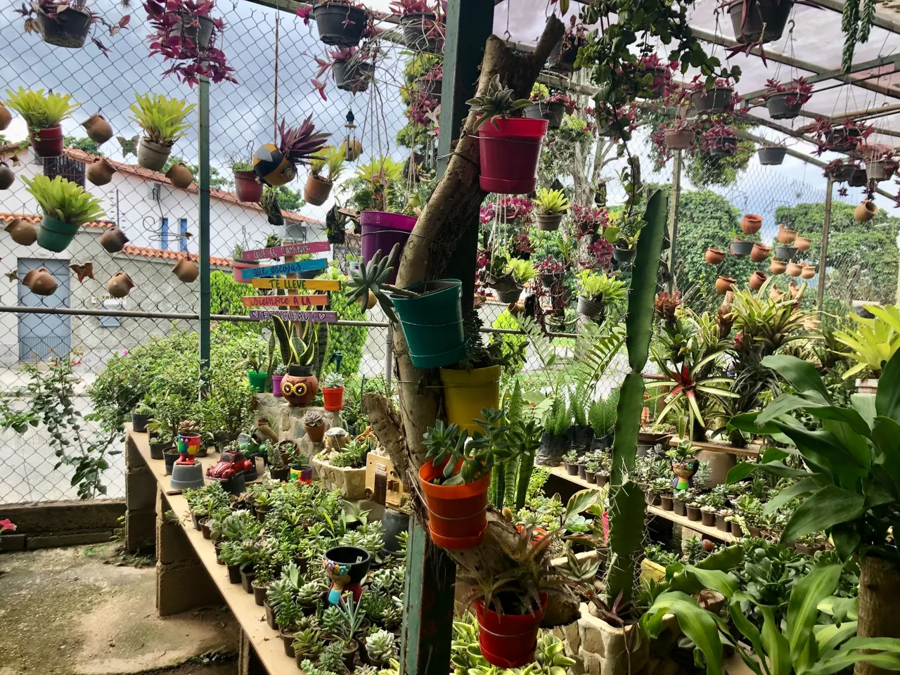 Vivero_7.jpg
