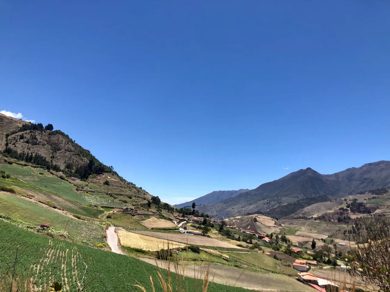 CaminoGavidia1_Apr25.jpg