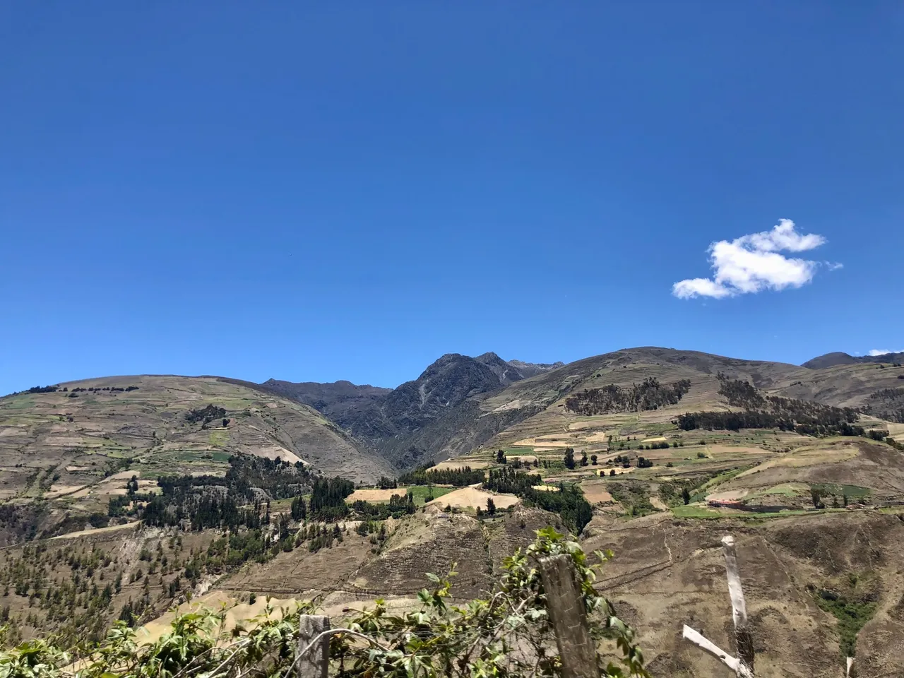 CaminoGavidia4_Apr25.jpg