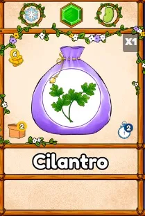 cilantro.jpg