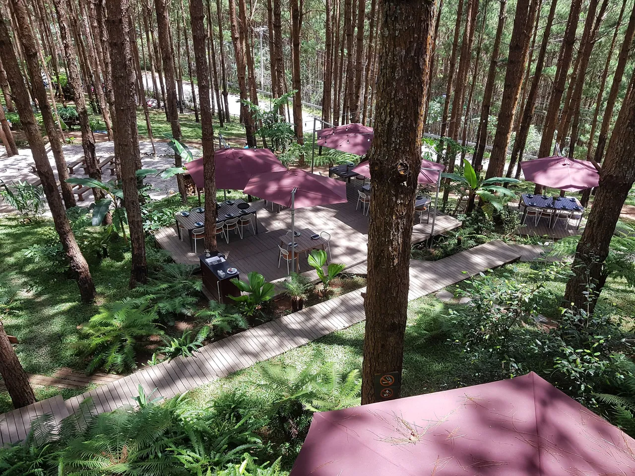 20220919_123916.jpg
