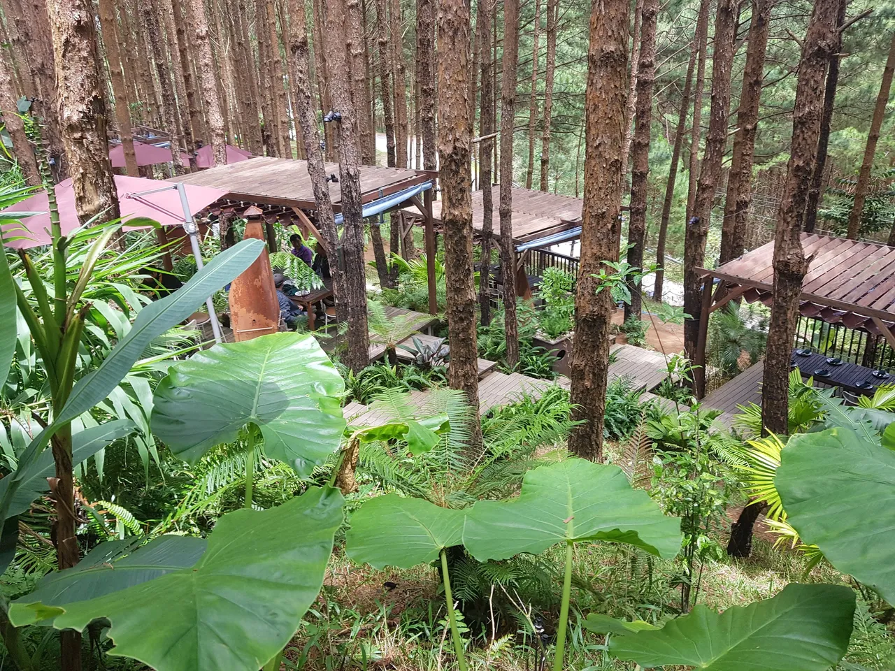 20220829_124501.jpg