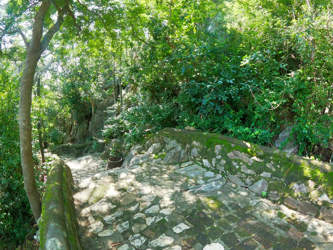 GOPR0204.jpg