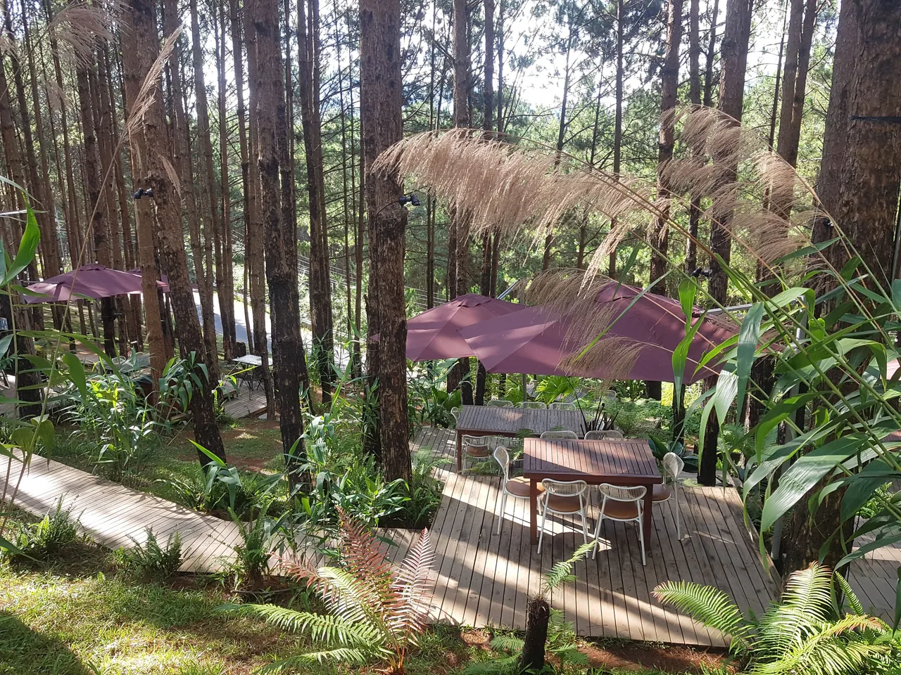 20220511_075640.jpg