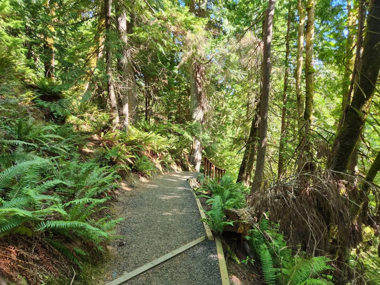 20230914_150729.jpg