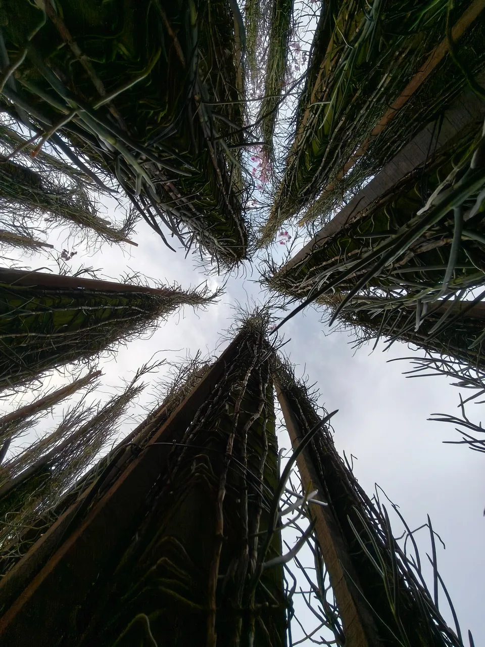 1000026144.jpg