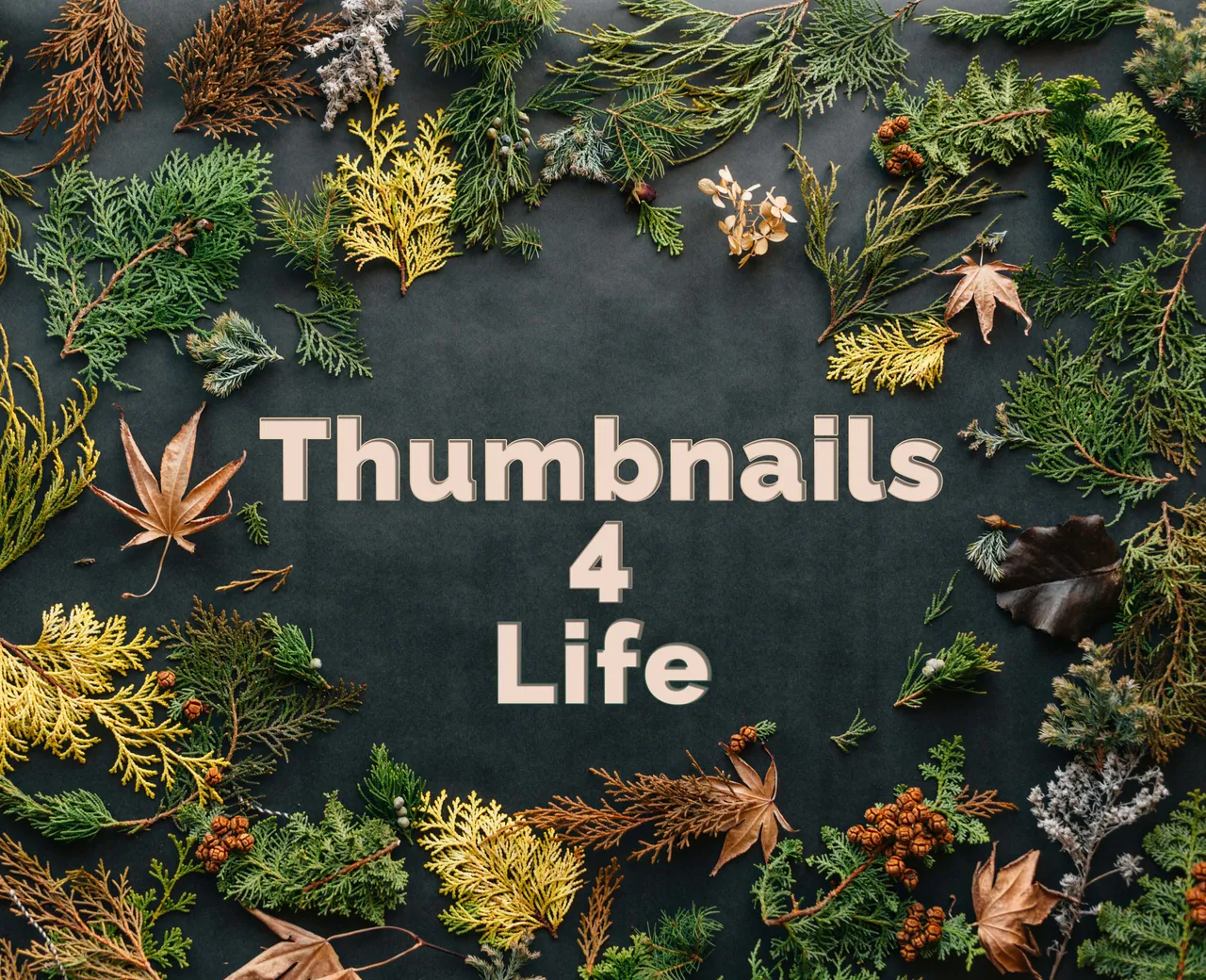 thumbnails4life.jpg