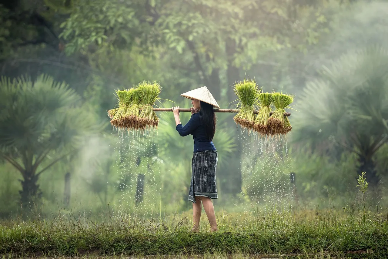 harvesting-1822578_1920.jpg