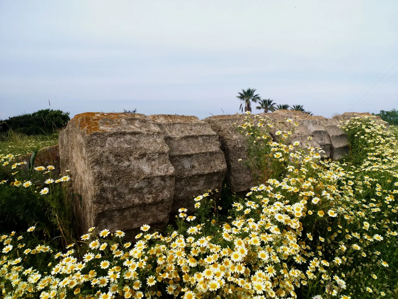 rhodes temple retouch IMG_20190405_164200.jpg