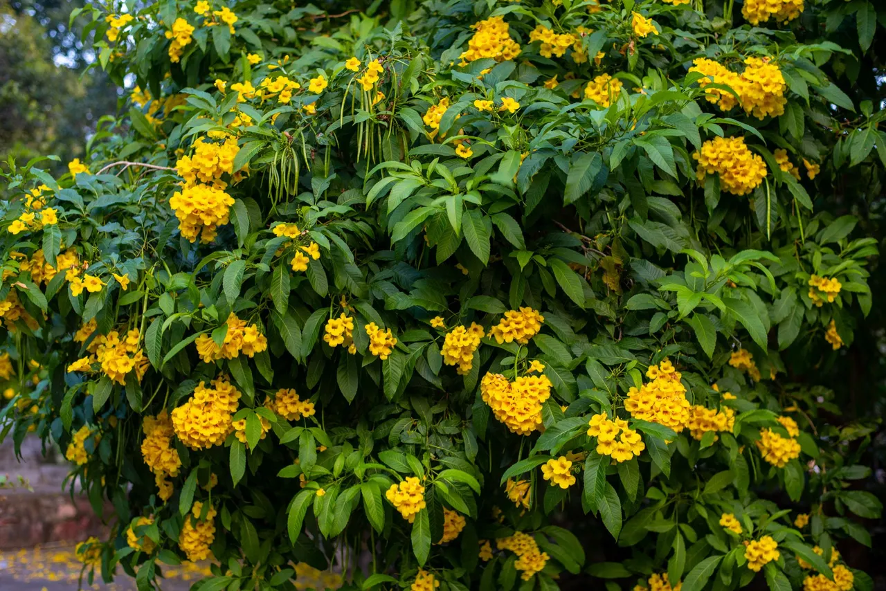 DSC_8351.JPG