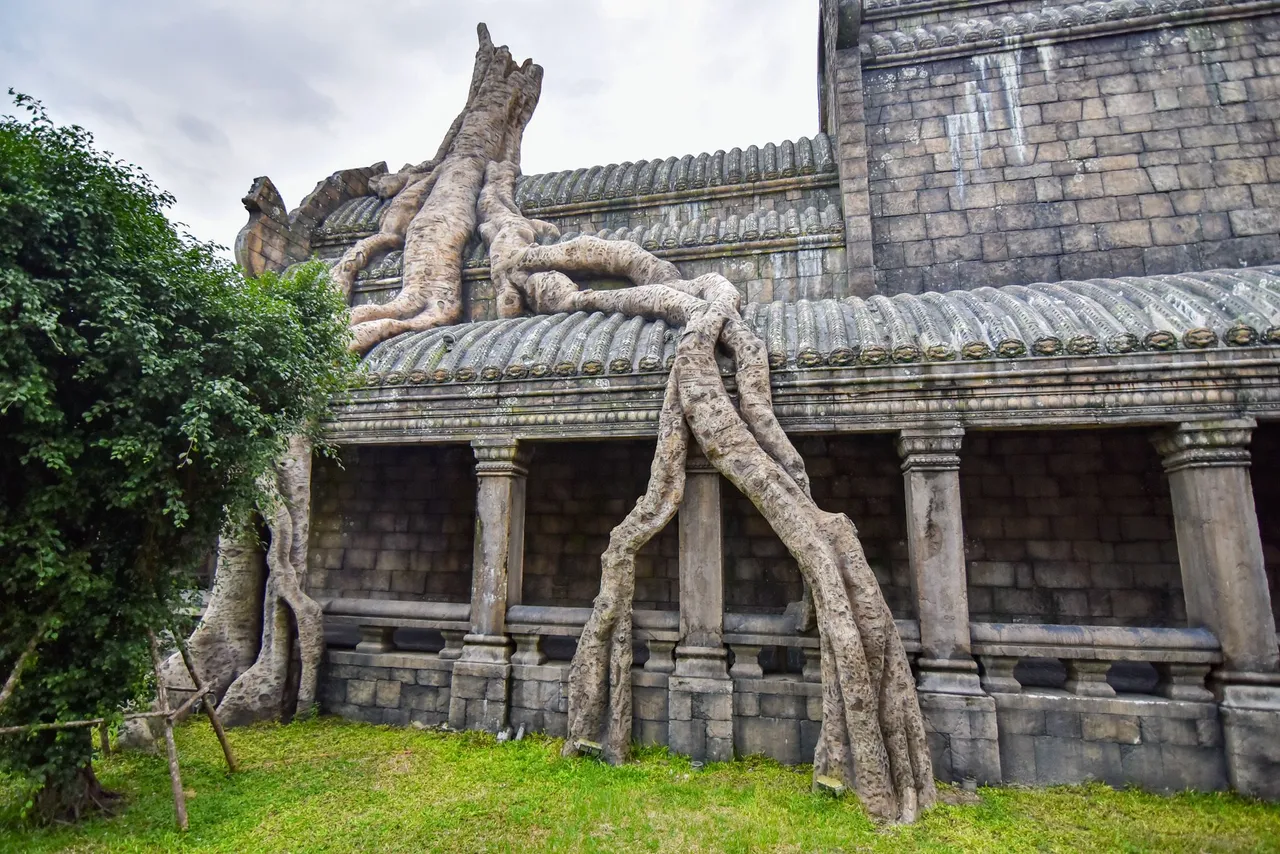 Hao_08_01 (72).JPG