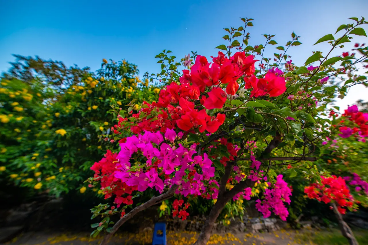 DSC_8341.JPG
