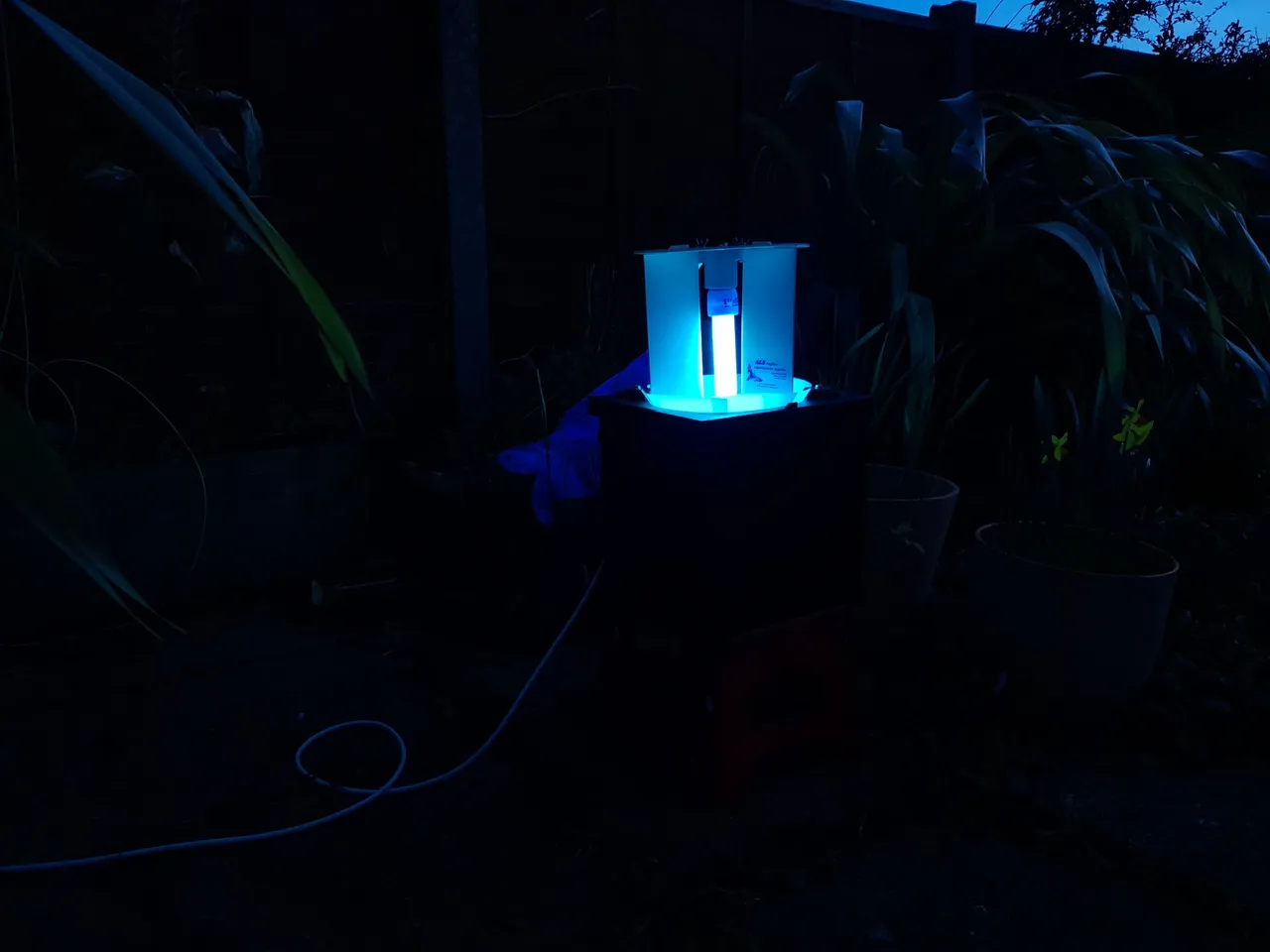 20220312_181724.jpg