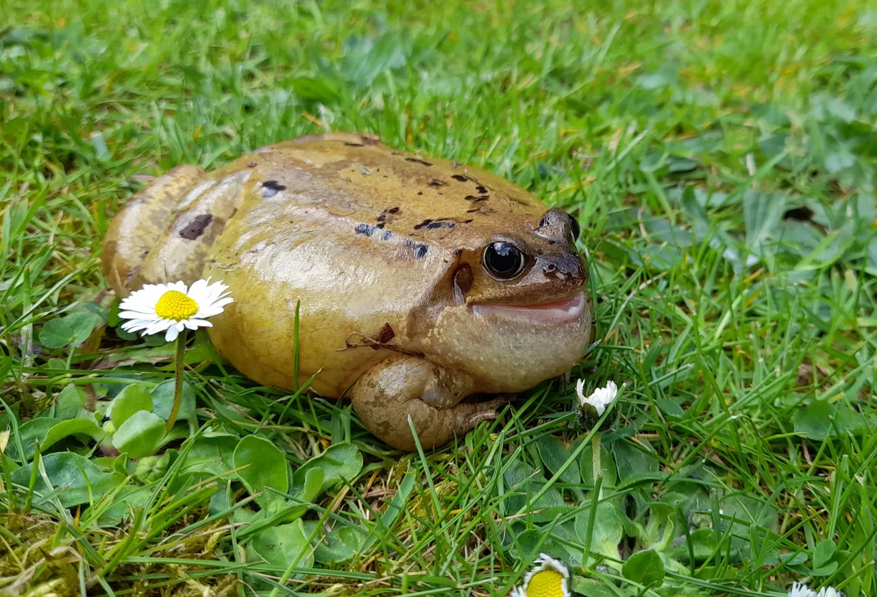 20250423_125025.jpg