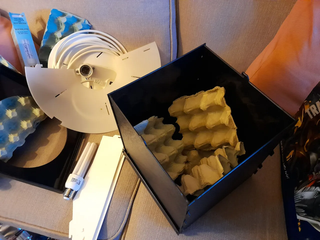 20220312_174706.jpg