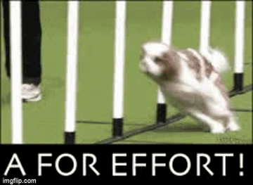 6dgw9l.gif