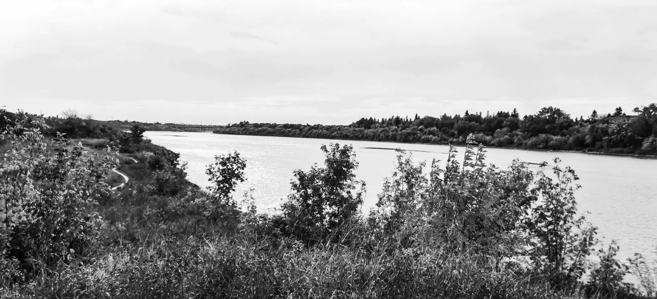 IMG_5082.jpeg