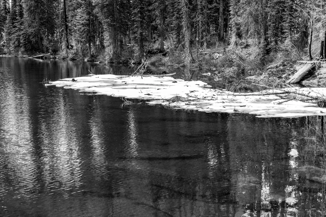 DSC07453.jpeg