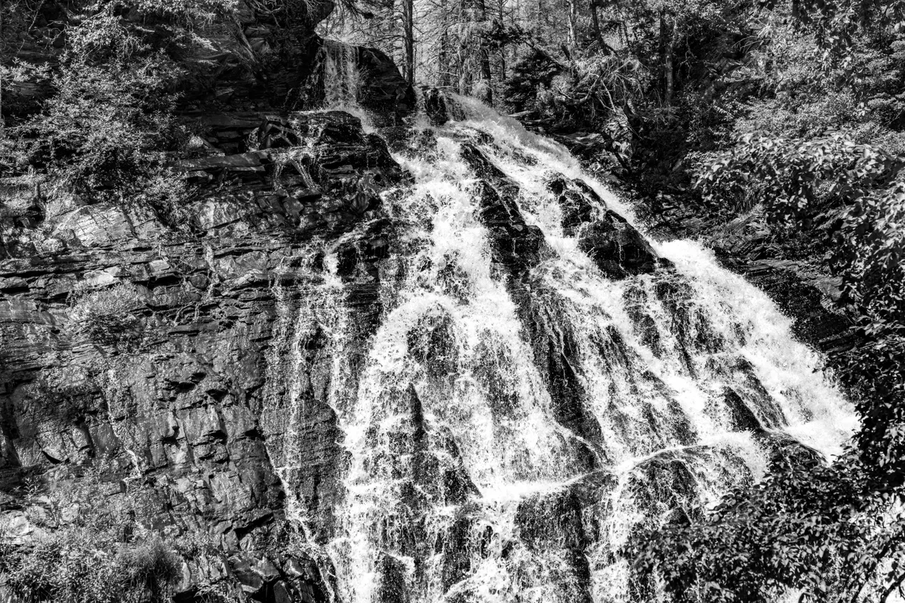 DSC08042.jpeg