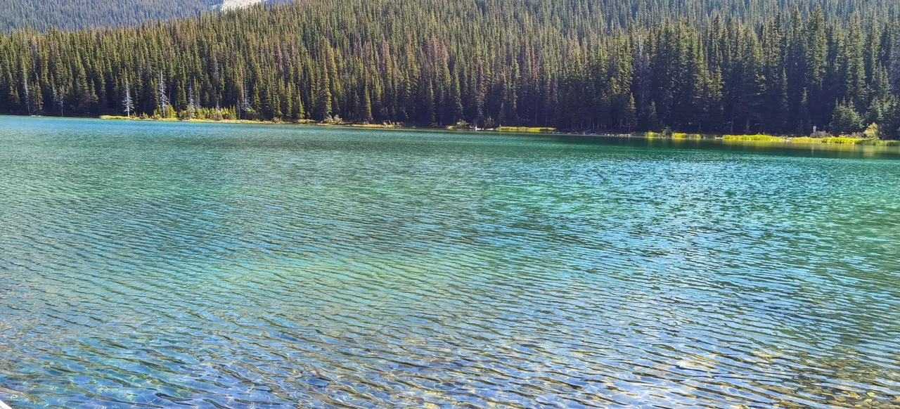 IMG_20230901_122848_Original.jpeg