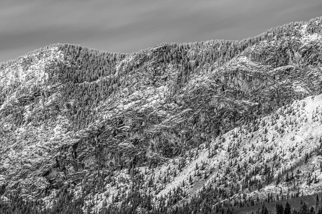 B8861A04-4770-4E1B-B536-4FAA80EF8BD6.jpeg
