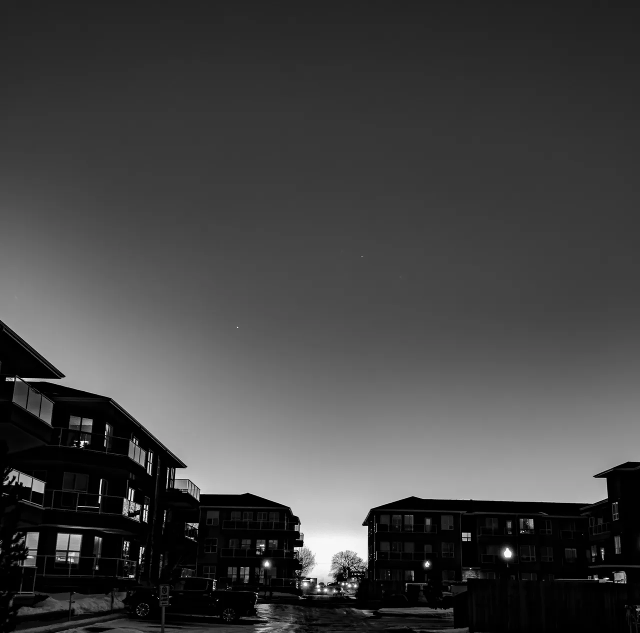 IMG_0103.jpeg