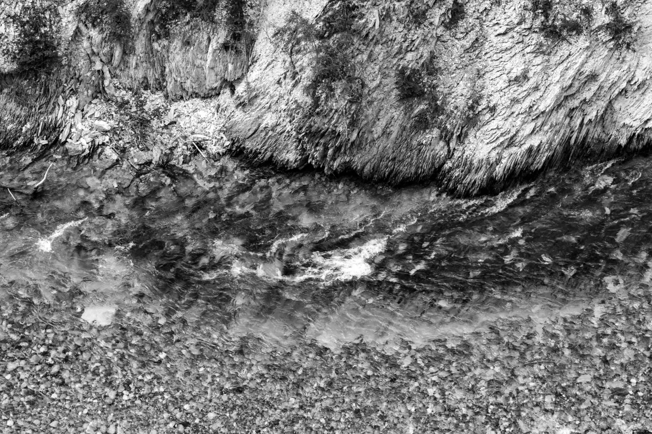 DSC08550.jpeg