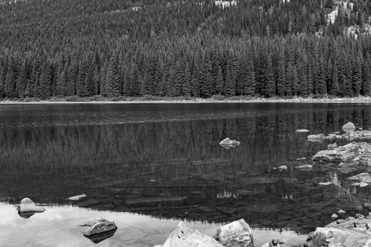 DSC08238.jpeg