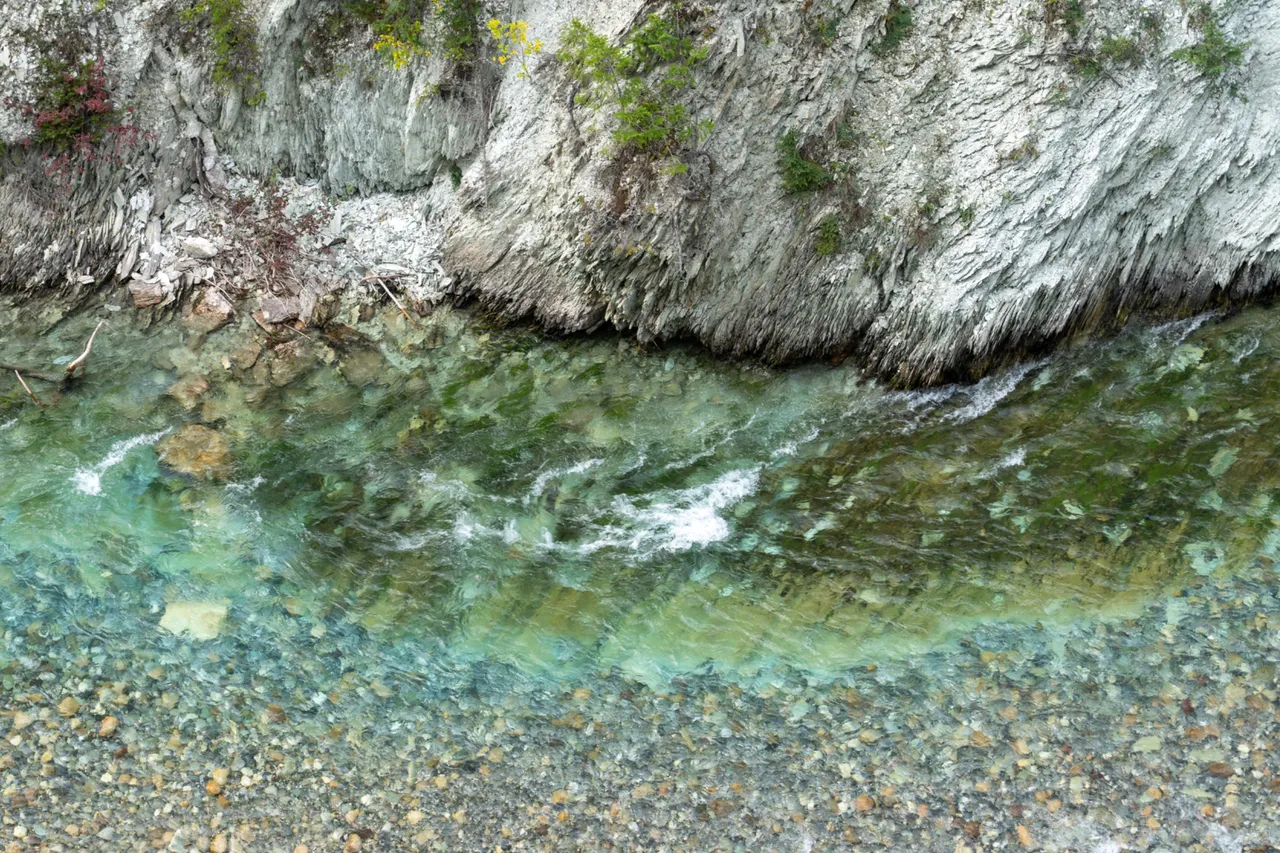 DSC08550.jpeg