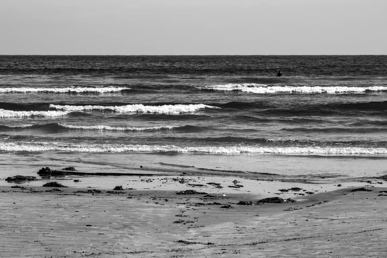 DSC09484.jpeg