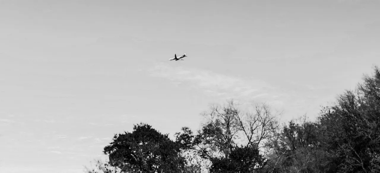 IMG_5748.jpeg