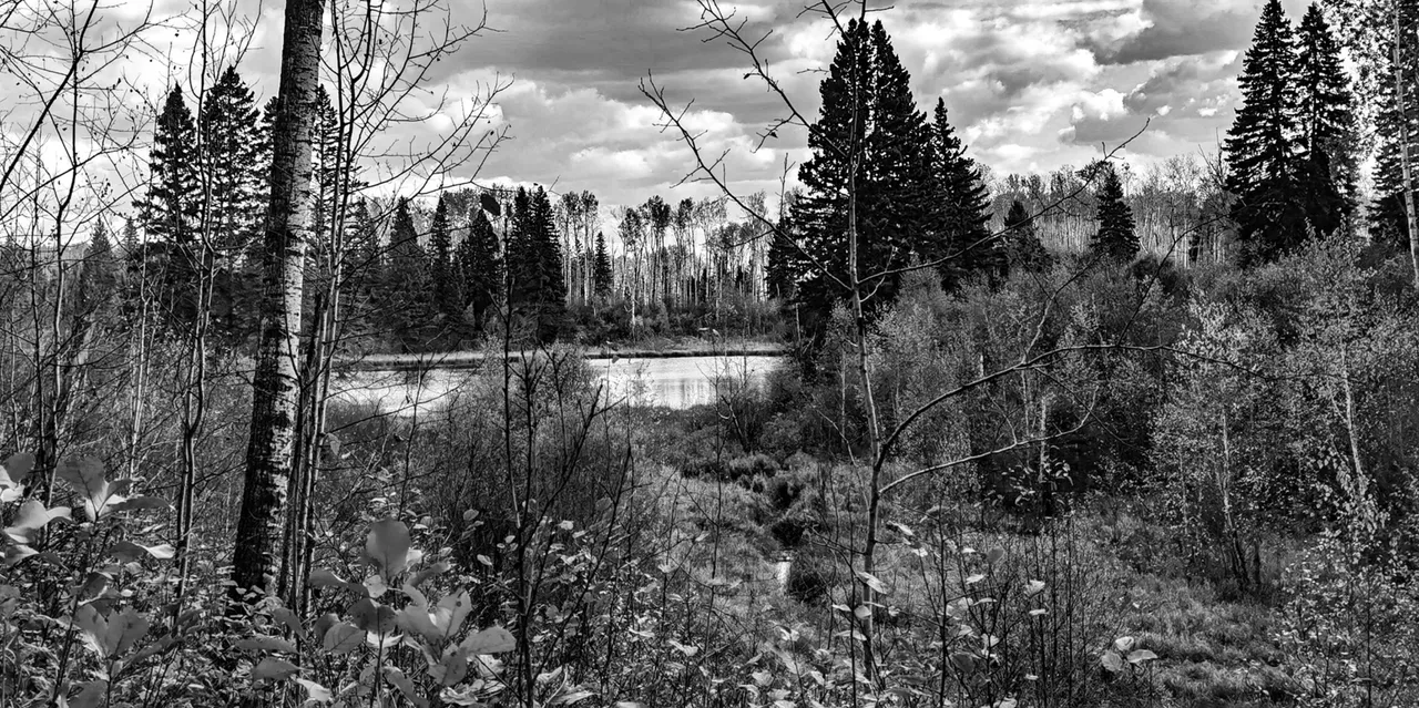 IMG_20240930_142301_Original.jpeg