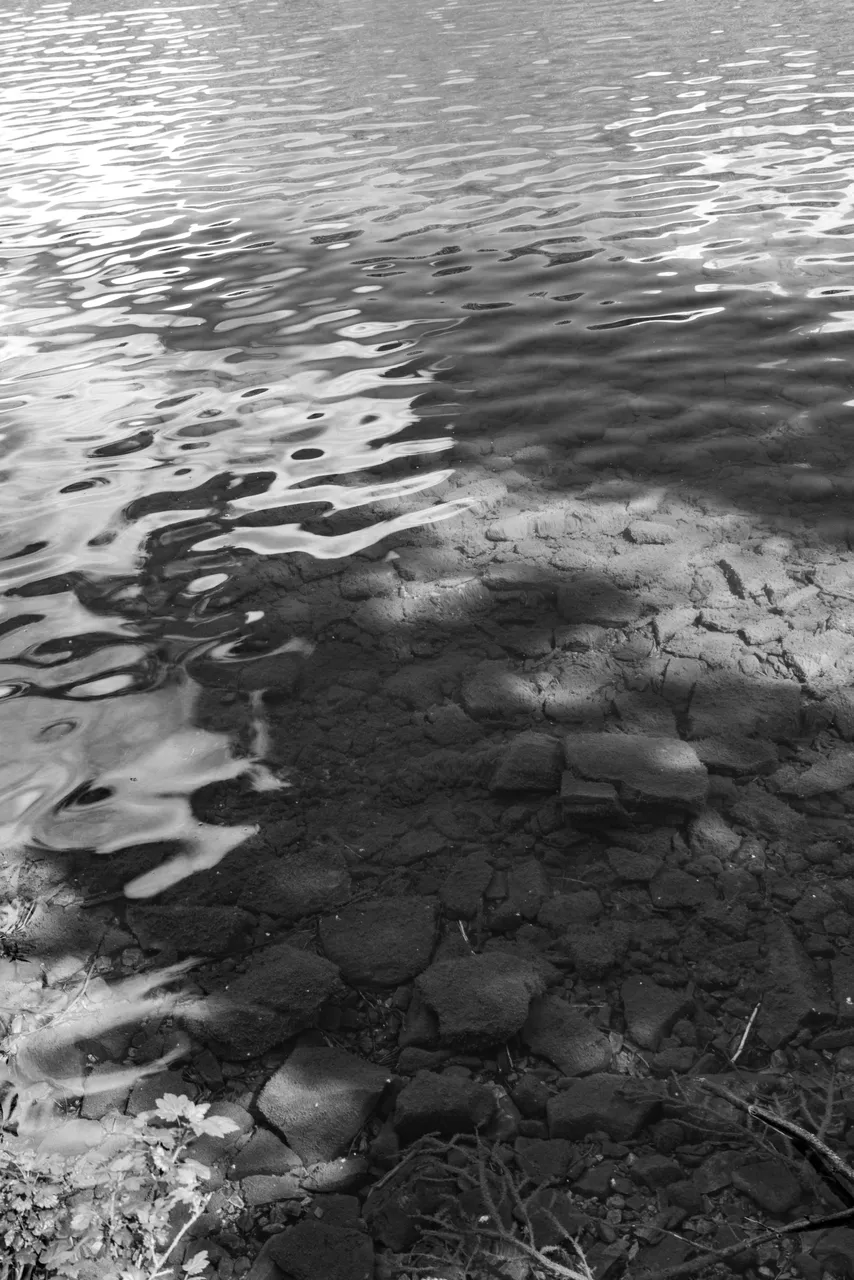 DSC07999.jpeg